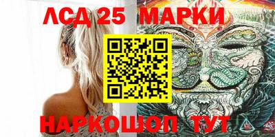стафф Пенза