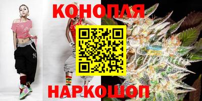стафф Пенза