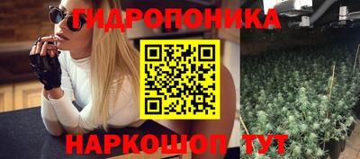 стафф Пенза