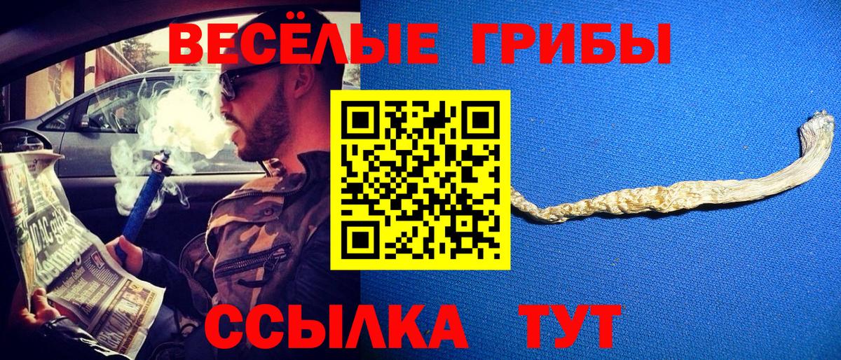 Лсд 25  MDMA  Канабис  Кокаин  Северск  ГАШ  Вход с VPN  ГЕРОИН  Мефедрон  